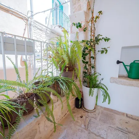 La Pupa Coi Baffi - Edificio Storico In Centro Apartament *